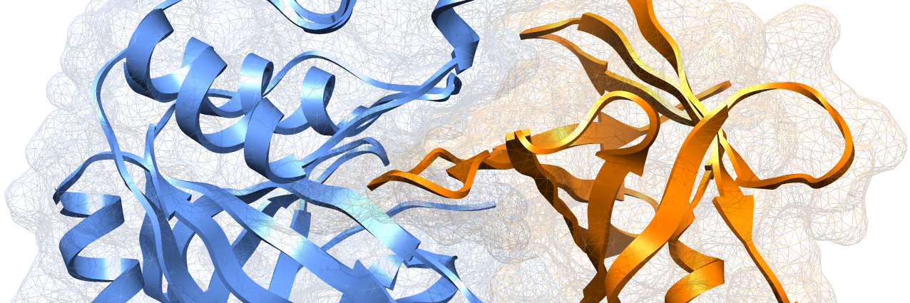 dxbarradas banner
