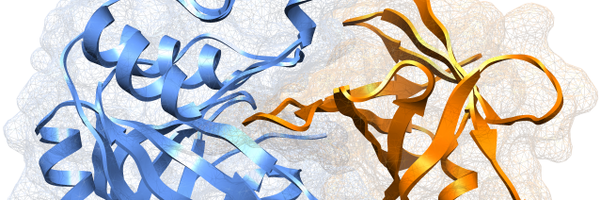 dxbarradas Profile Banner