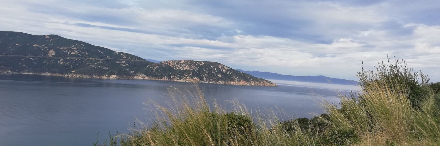 EcemGunn's profile banner image