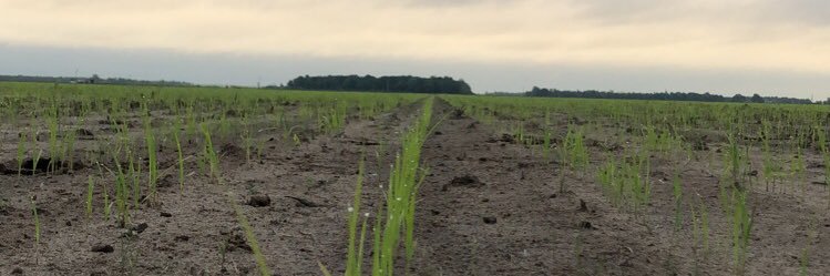 Worlds Worst Farmer banner