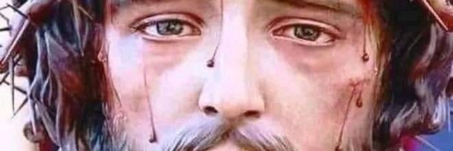 LuisaCoret58's profile banner image