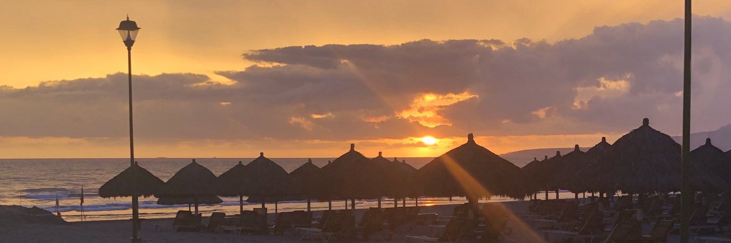 realsnowflakin's profile banner image