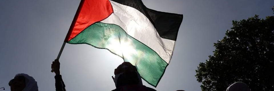 Connie 🇵🇸🇵🇸🇵🇸 banner
