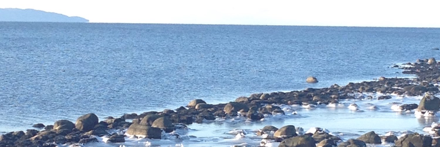 EngelbckElin's profile banner image