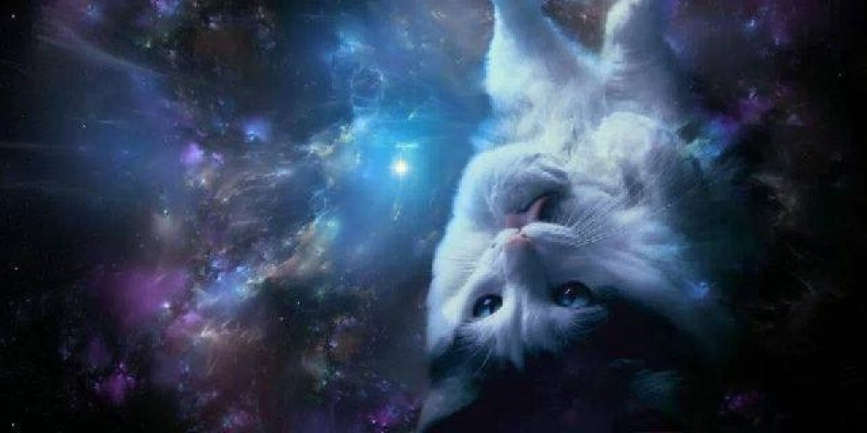 RegalRLT's profile banner image