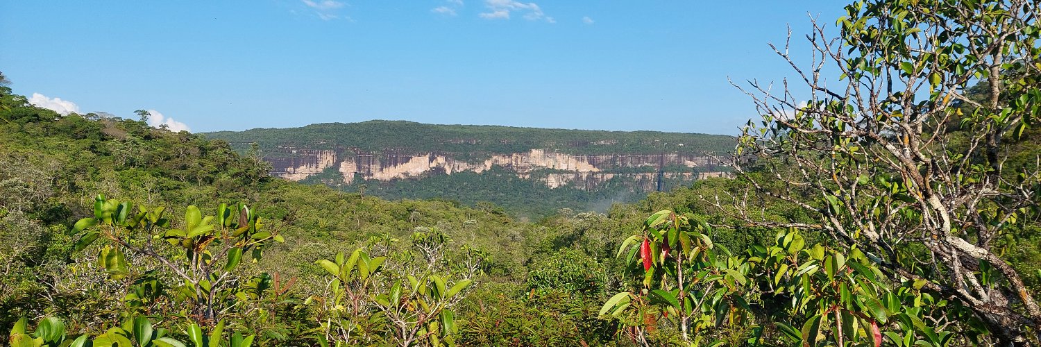 María Isabel Henao V banner