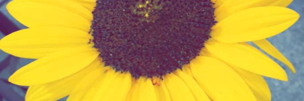 Ashlyn_79's profile banner image