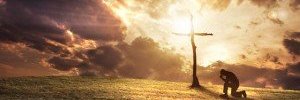 inezcaraka's profile banner image