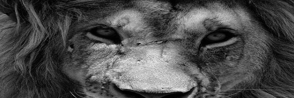 BoutDhatPaper's profile banner image
