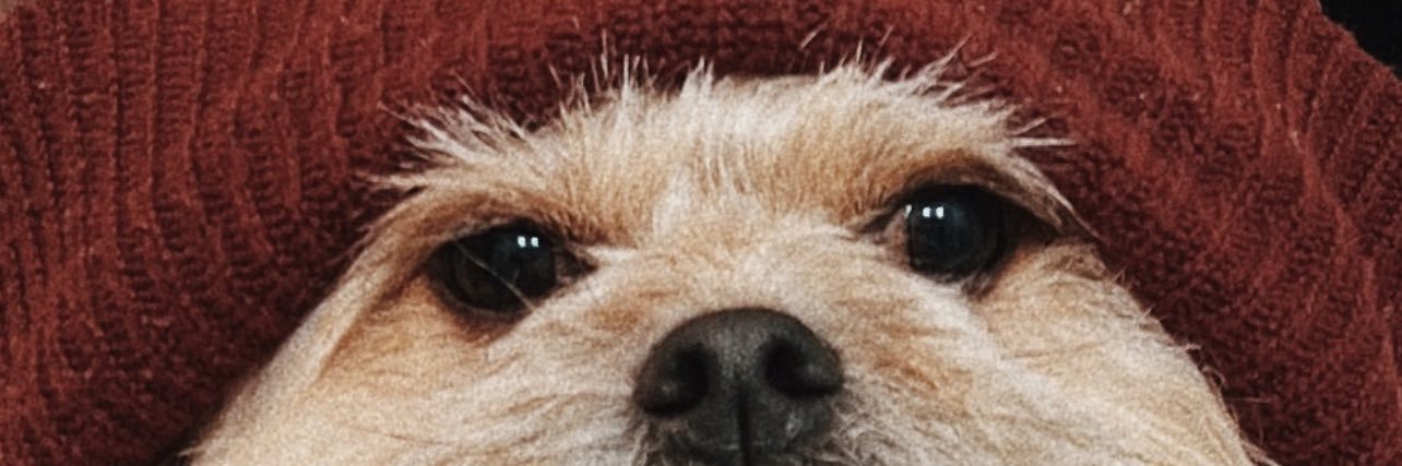 tayaymer's profile banner image