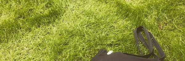 rlwholmes Profile Banner