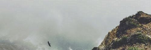 gnoj080509's profile banner image