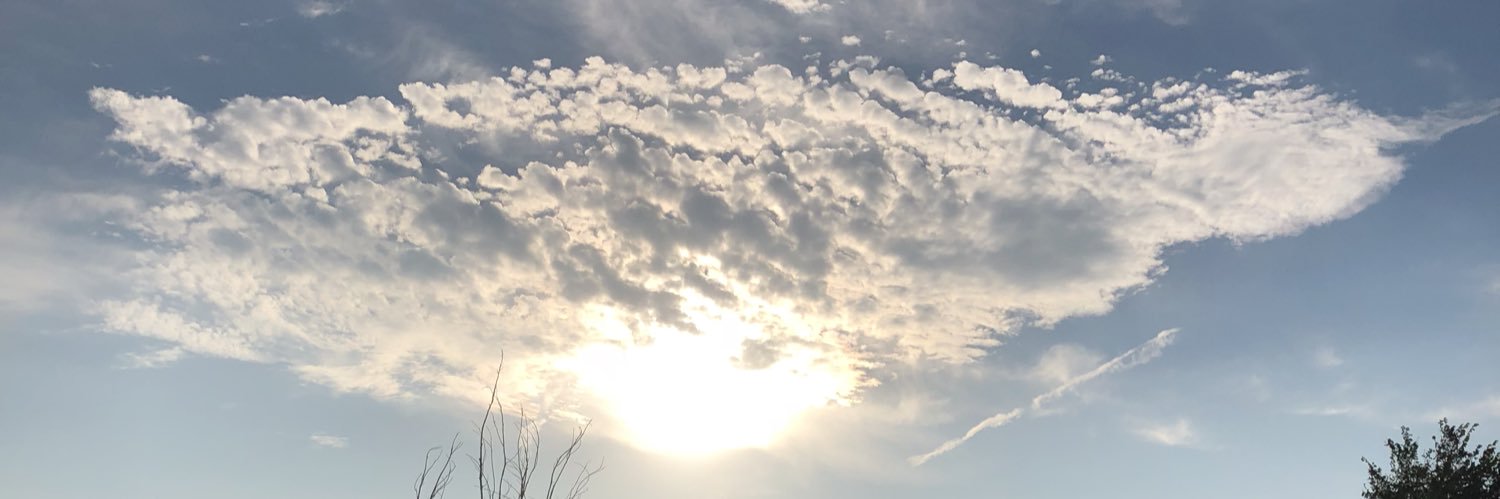 theveganeva's profile banner image