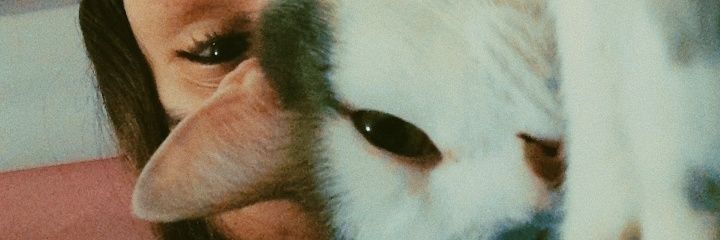 _cotid's profile banner image