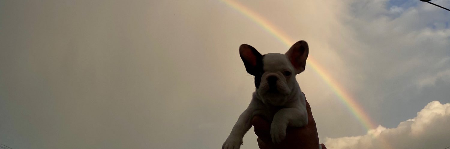 Agusgarr's profile banner image