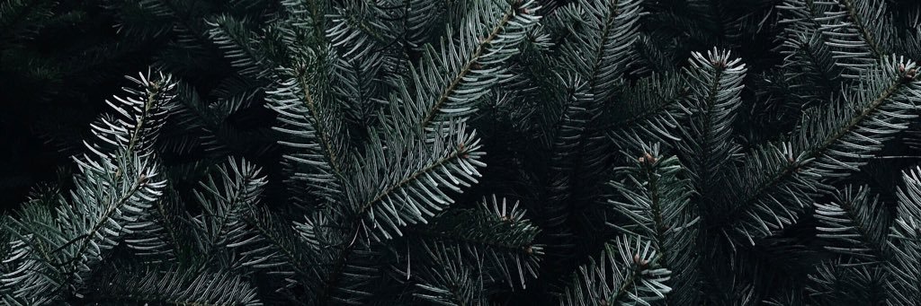 rachelfinlay_'s profile banner image