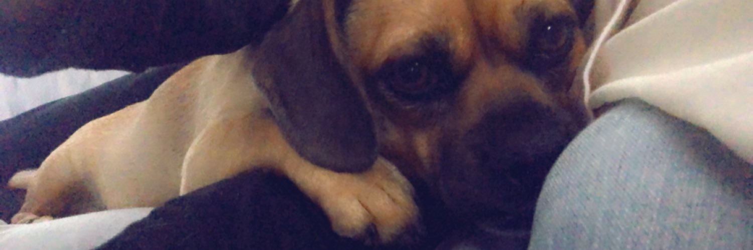 _kdash__'s profile banner image