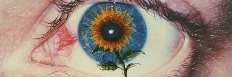 KatelynStiles's profile banner image