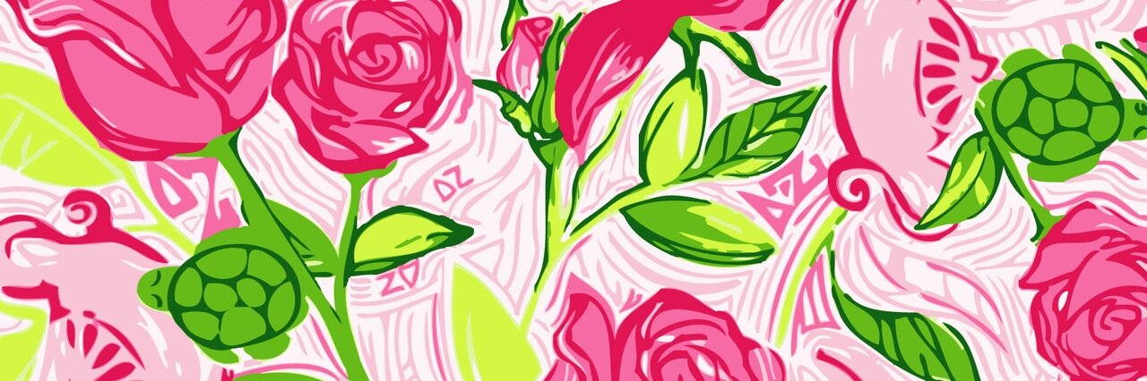 DeltaZeta_ELCs's profile banner image