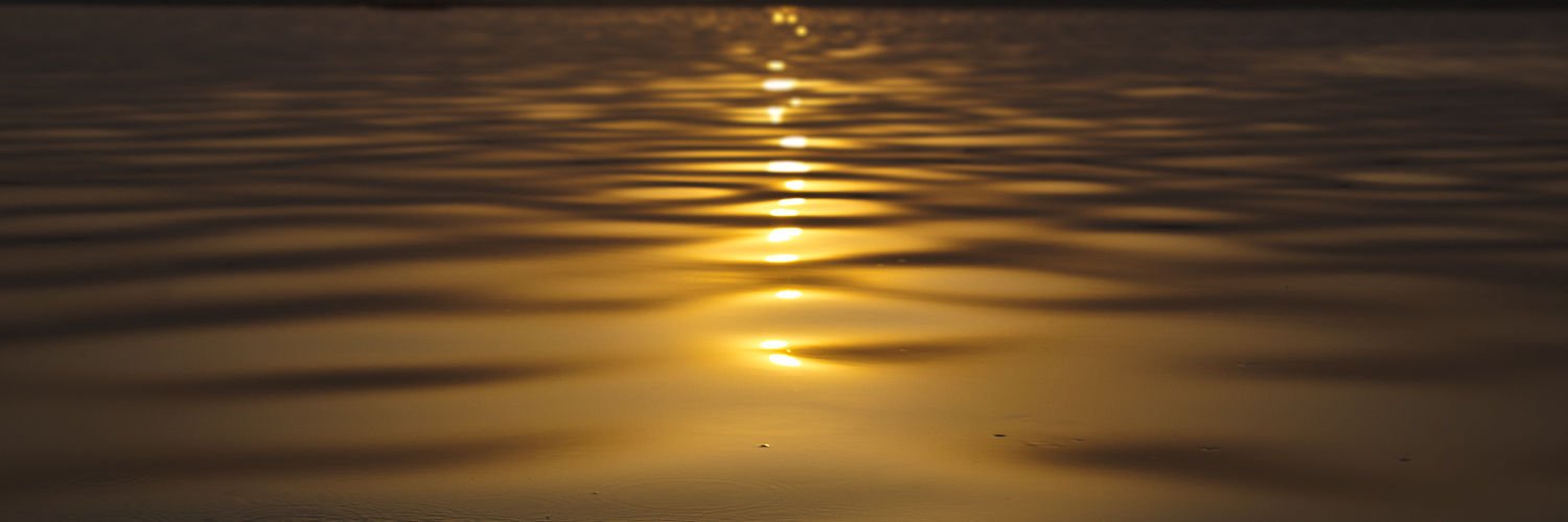 Salvador Fornell banner