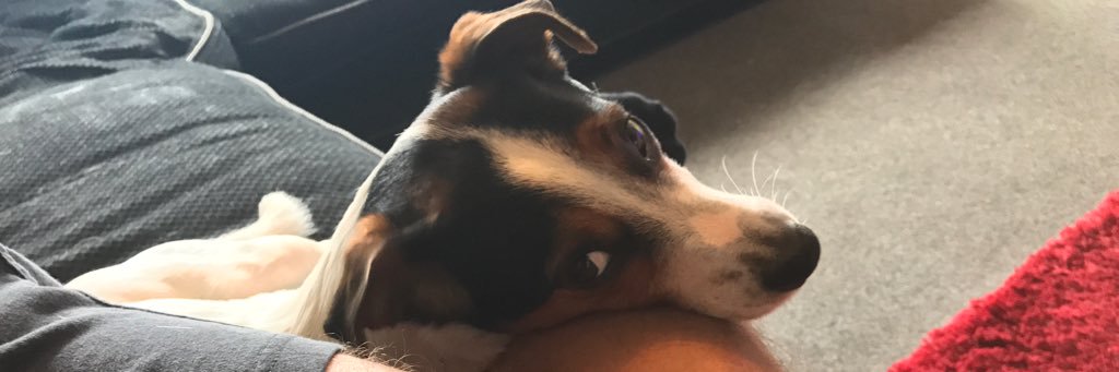 RyanCatterall's profile banner image