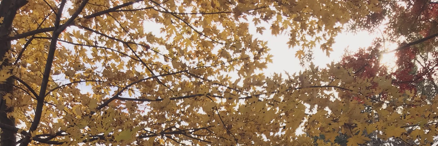 JJBooxox's profile banner image