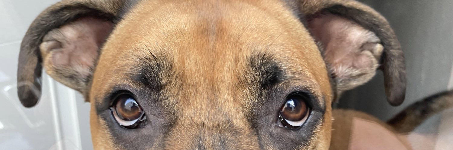 🏴‍☠️Junior 🇺🇸 banner