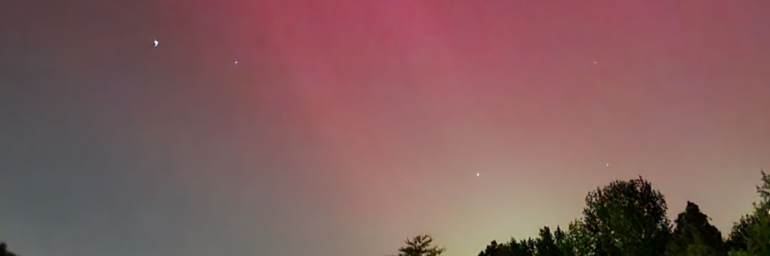 L_LeVay's profile banner image