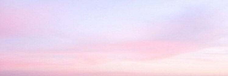 shessoshannon's profile banner image