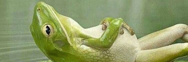 Terovolas's profile banner image