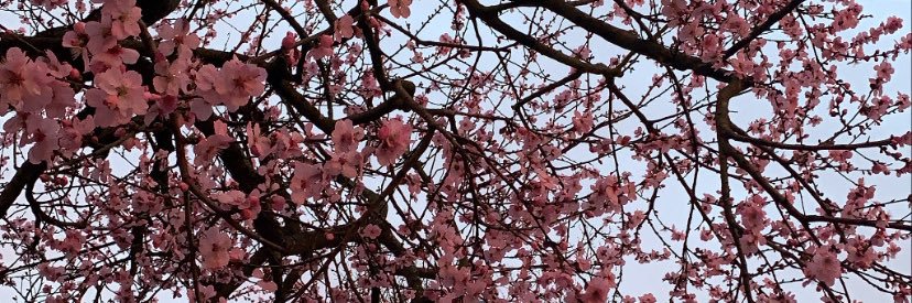 graacewebb95's profile banner image