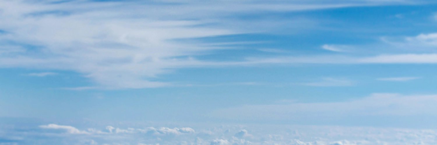 🐋 banner