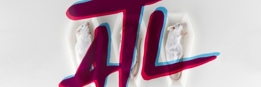 GUCCIG2's profile banner image