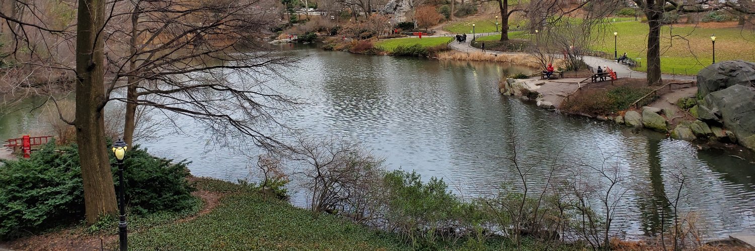 missy_yoder's profile banner image