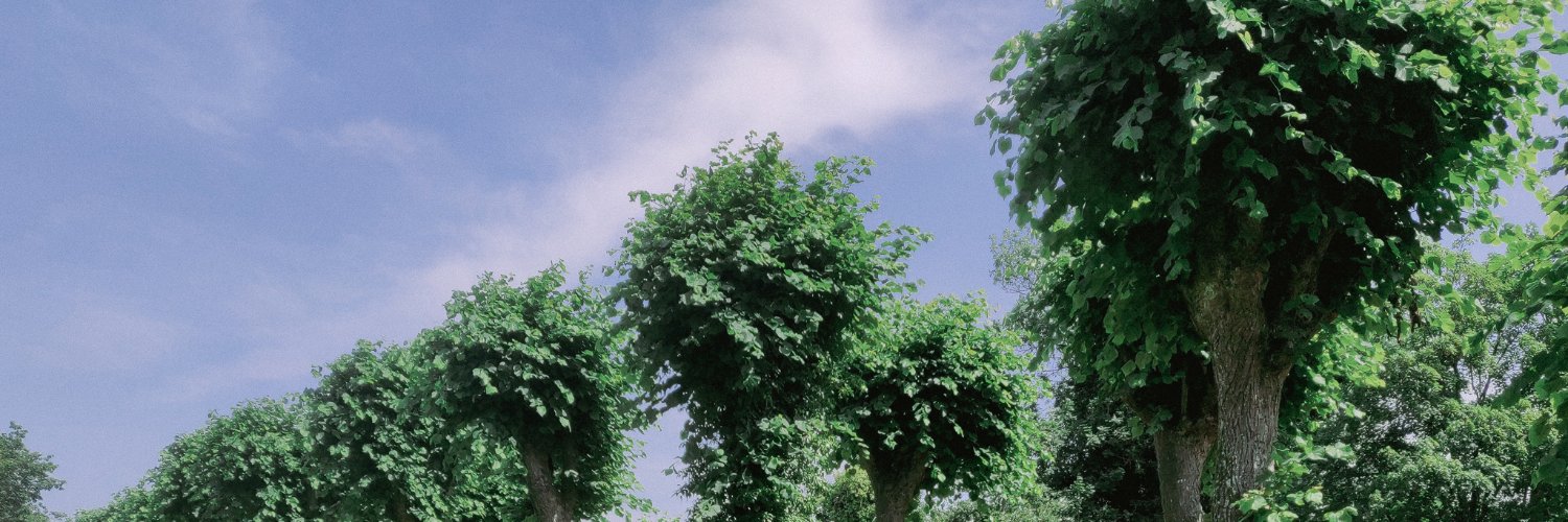 inaki__'s profile banner image