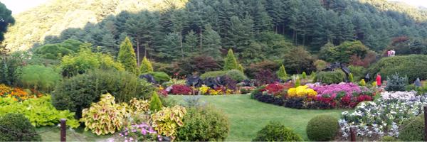 ClarissaJSS Profile Banner