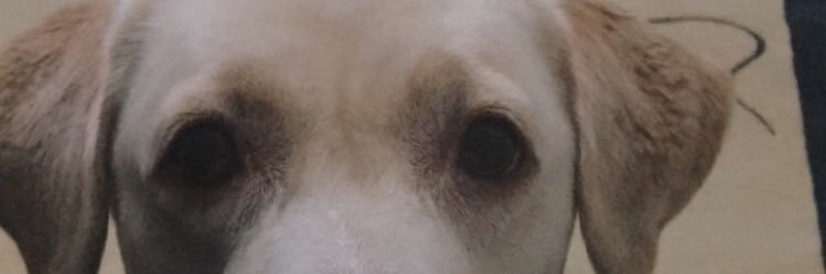 Volkiiyyi's profile banner image