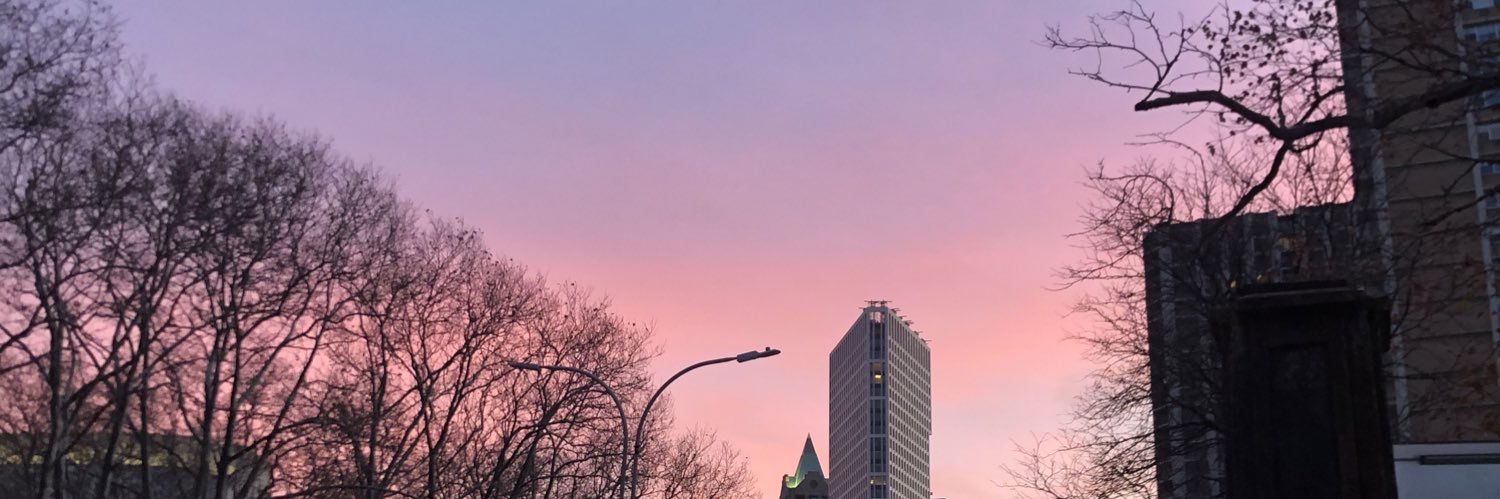 raeannesienna's profile banner image