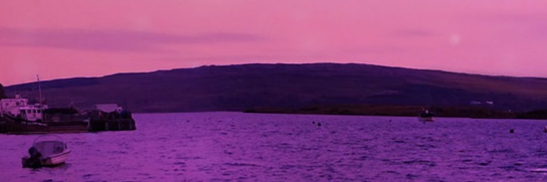 _media_'s profile banner image