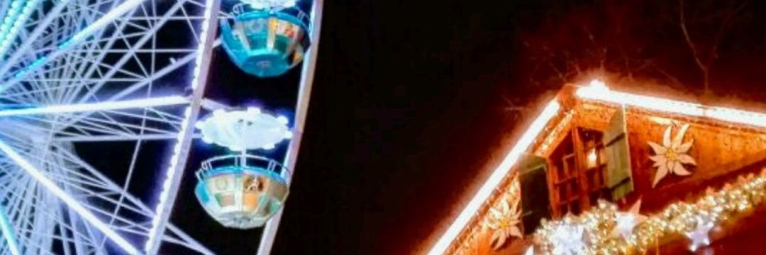 MJNavarro14's profile banner image