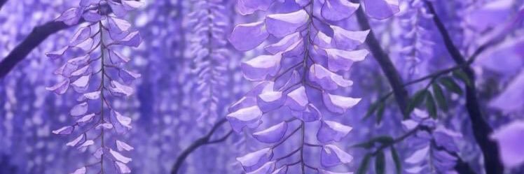YVOdoubleNE's profile banner image