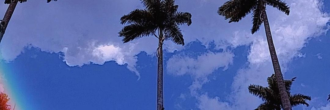 l4riz's profile banner image