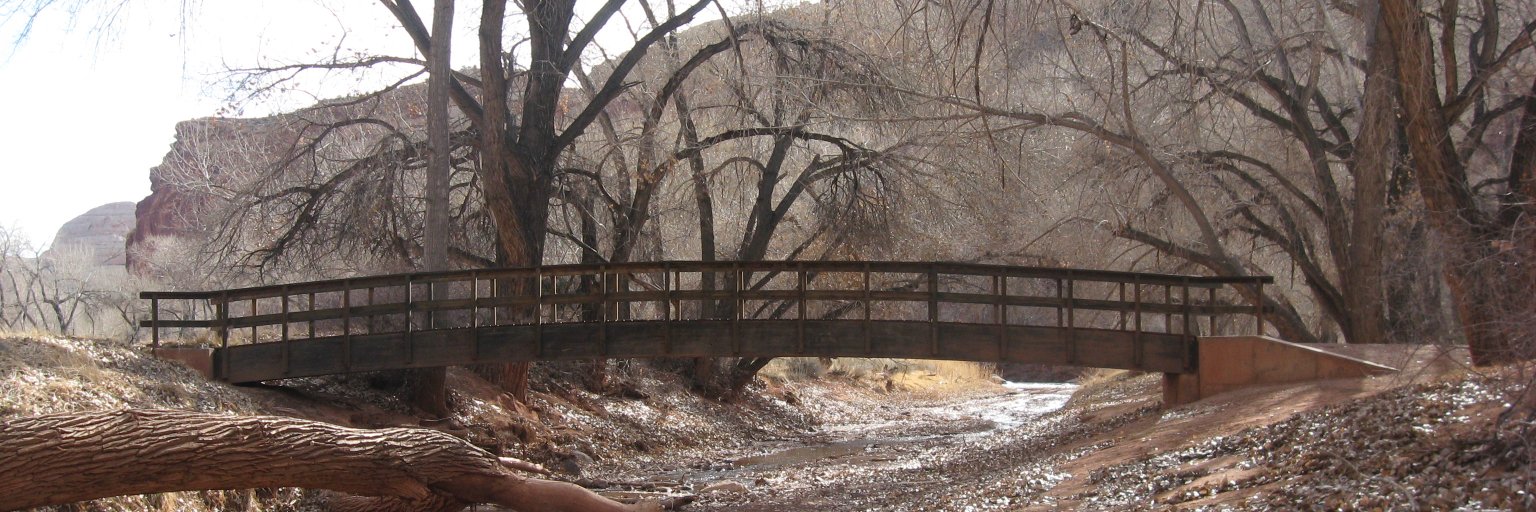 AnnWeisgarber's profile banner image