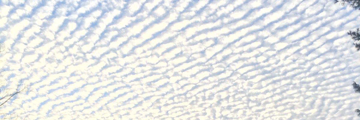 ندى الحربش banner