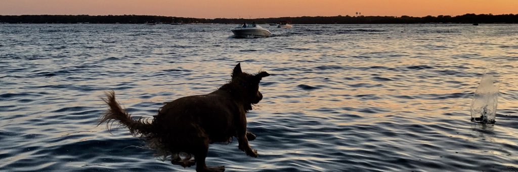 c_farner's profile banner image