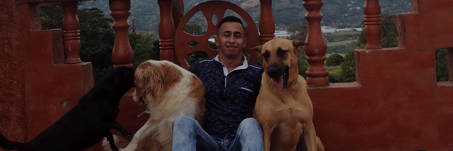 Deimer 📨 banner