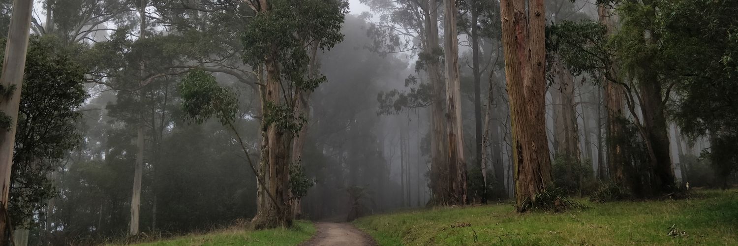 conantron's profile banner image