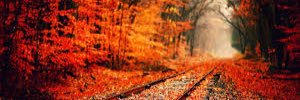 JoshCharlton9's profile banner image
