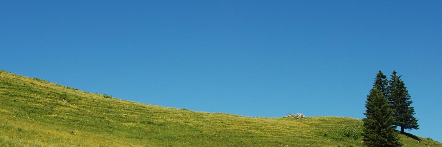 wefinet's profile banner image