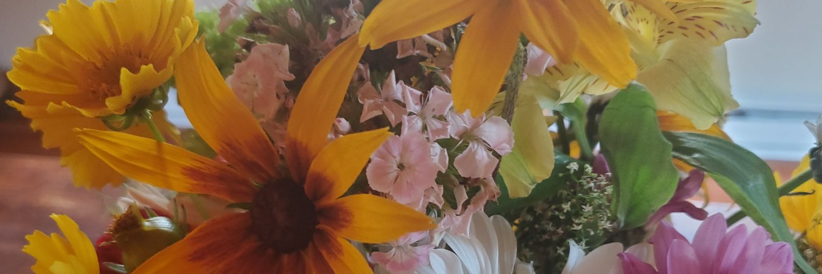 chopped_carrots's profile banner image